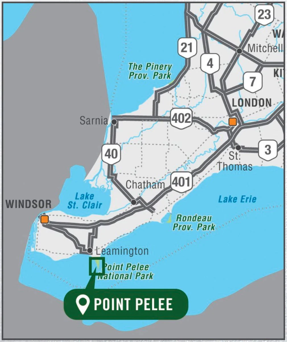 Point Pelee National Park Ontario - Park Map - Image 4