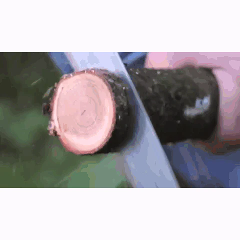 ZUBAT 330 (LG Teeth) Curved Pruning Saw - Image 4